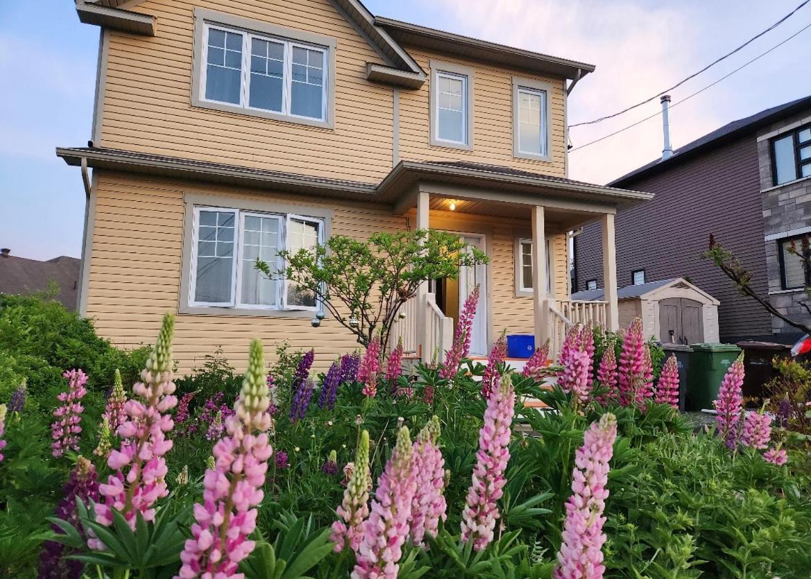 Maison Chaleureuse, Energetique Et Florale Sherbrooke Exteriér fotografie