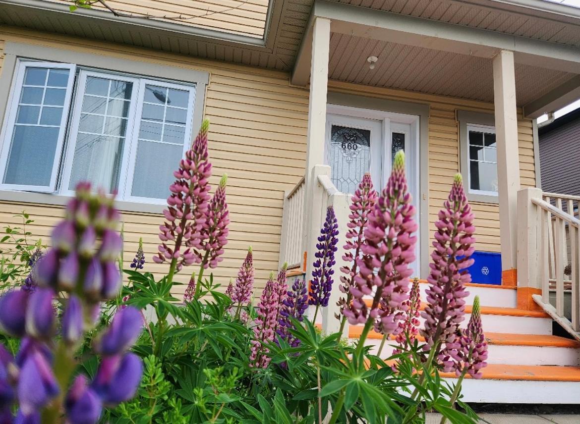Maison Chaleureuse, Energetique Et Florale Sherbrooke Exteriér fotografie